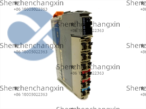 X20BR9300总线接收模块参数详解与维护保养 - 图片 4