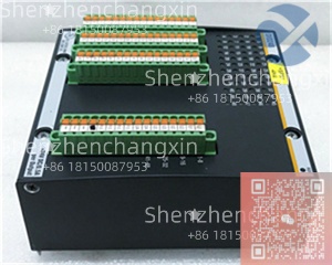 Bachmann DIO248 | 16DI+8DO 高密度混合 I/O 模块(M1 系统)