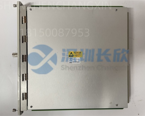 BENTLY 350053 133388-01技术参数全解析,选型不求人 - 图片 3